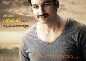 Gopichand Birthday Photos photo 3