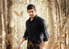 Mahesh Babu photo 5