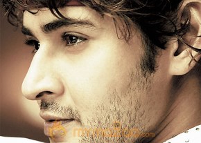 Mahesh Babu Photo Gallery photo 13