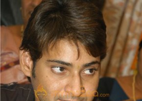 Mahesh Babu Photo Gallery