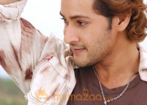 Mahesh Babu Photo Gallery photo 24