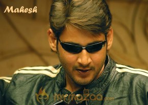 Mahesh Babu Photo Gallery photo 27