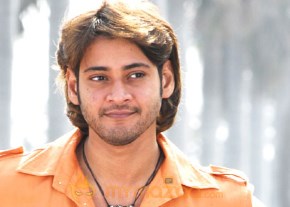 Mahesh Babu Photo Gallery photo 17