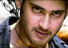Mahesh Babu Photo Gallery photo 19