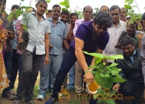 Mega Star Chiranjeevi and Nagarjuna Participated In great initiative for Haritha Haram photo 4