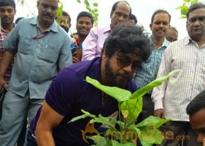 Mega Star Chiranjeevi and Nagarjuna Participated In great initiative for Haritha Haram photo 2