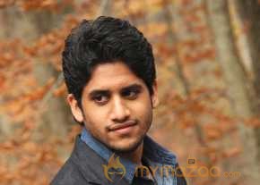 Naga Chaitanya photo 12