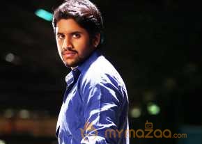Naga Chaitanya photo 21