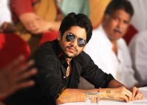 Naga Chaitanya photo 8