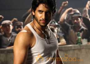 Naga Chaitanya photo 5