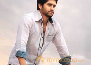 Naga Chaitanya photo 15