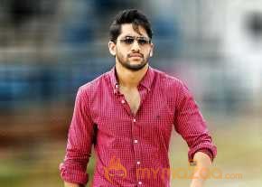 Naga Chaitanya photo 10