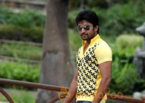 Nani photo 11