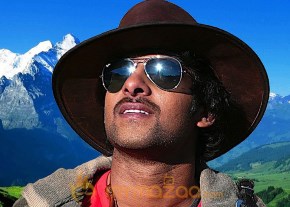 Prabhas Photo Gallery photo 5