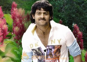 Prabhas Photo Gallery photo 30
