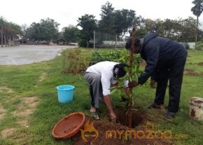 Rana Daggubati planted saplings at Nanakramguda as a part of Haritha Haram photo 7