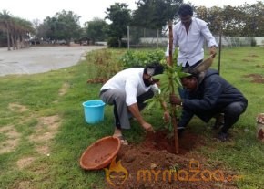 Rana Daggubati planted saplings at Nanakramguda as a part of Haritha Haram photo 9