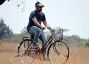  Teja  photo 8