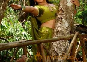 Aarthi Agarwal photo 13