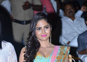 Actress Naina Ganguly Latest Hot HD Photos at Vangaveeti Movie Audio Launch Function photo 11