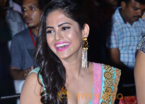 Actress Naina Ganguly Latest Hot HD Photos at Vangaveeti Movie Audio Launch Function photo 9