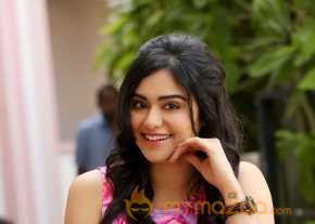  Adah Sharma Sizzling Stills  photo 14
