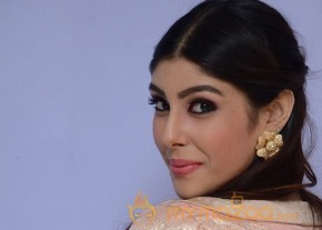 Aditi Singh Hot Pics Gallery