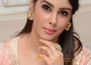 Aditi Singh Hot Pics Gallery photo 2