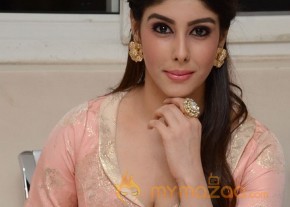Aditi Singh Hot Pics Gallery photo 3