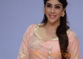 Aditi Singh Hot Pics Gallery photo 4
