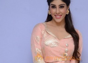 Aditi Singh Hot Pics Gallery photo 6