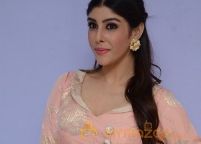 Aditi Singh Hot Pics Gallery photo 20