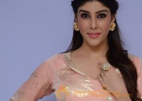 Aditi Singh Hot Pics Gallery photo 8
