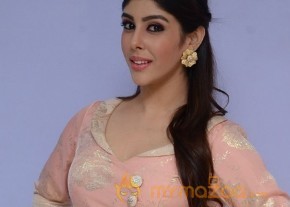 Aditi Singh Hot Pics Gallery photo 13