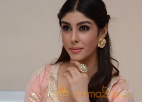 Aditi Singh Hot Pics Gallery photo 15