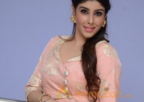 Aditi Singh Hot Pics Gallery photo 24