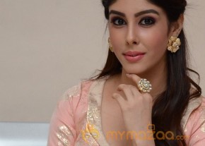 Aditi Singh Hot Pics Gallery photo 26