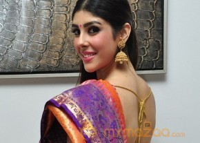 Aditi Singh Latest Traditional Images photo 12