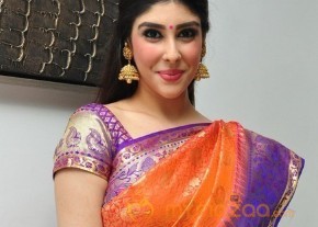 Aditi Singh Latest Traditional Images photo 13