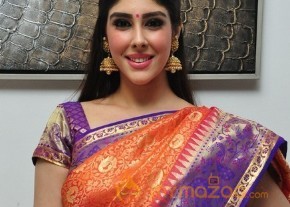 Aditi Singh Latest Traditional Images photo 17