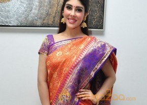 Aditi Singh Latest Traditional Images photo 18