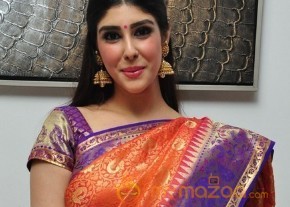 Aditi Singh Latest Traditional Images photo 19