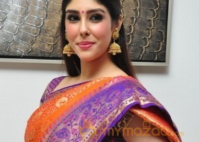 Aditi Singh Latest Traditional Images photo 21