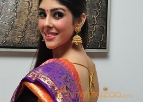 Aditi Singh Latest Traditional Images photo 22