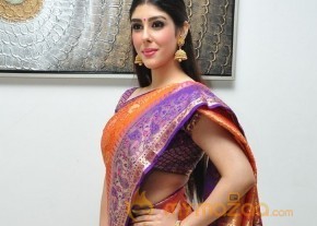 Aditi Singh Latest Traditional Images photo 26