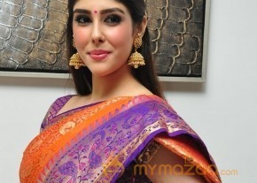 Aditi Singh Latest Traditional Images photo 27