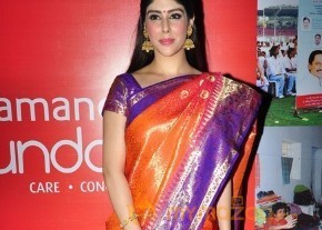 Aditi Singh Latest Traditional Images