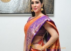 Aditi Singh Latest Traditional Images photo 4