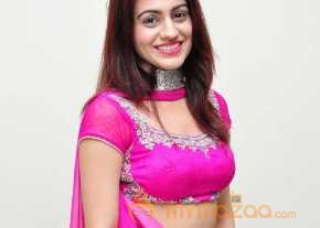  Aksha Pardasany Photoshoot At Crescent Cricket Cup 2015 Curtain Raiser Event  photo 3