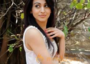  Aksha Pardasany Photoshoot At Dr Saleem Press Meet  photo 2